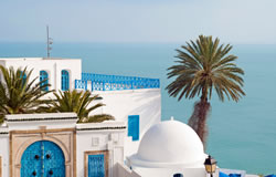 تونس